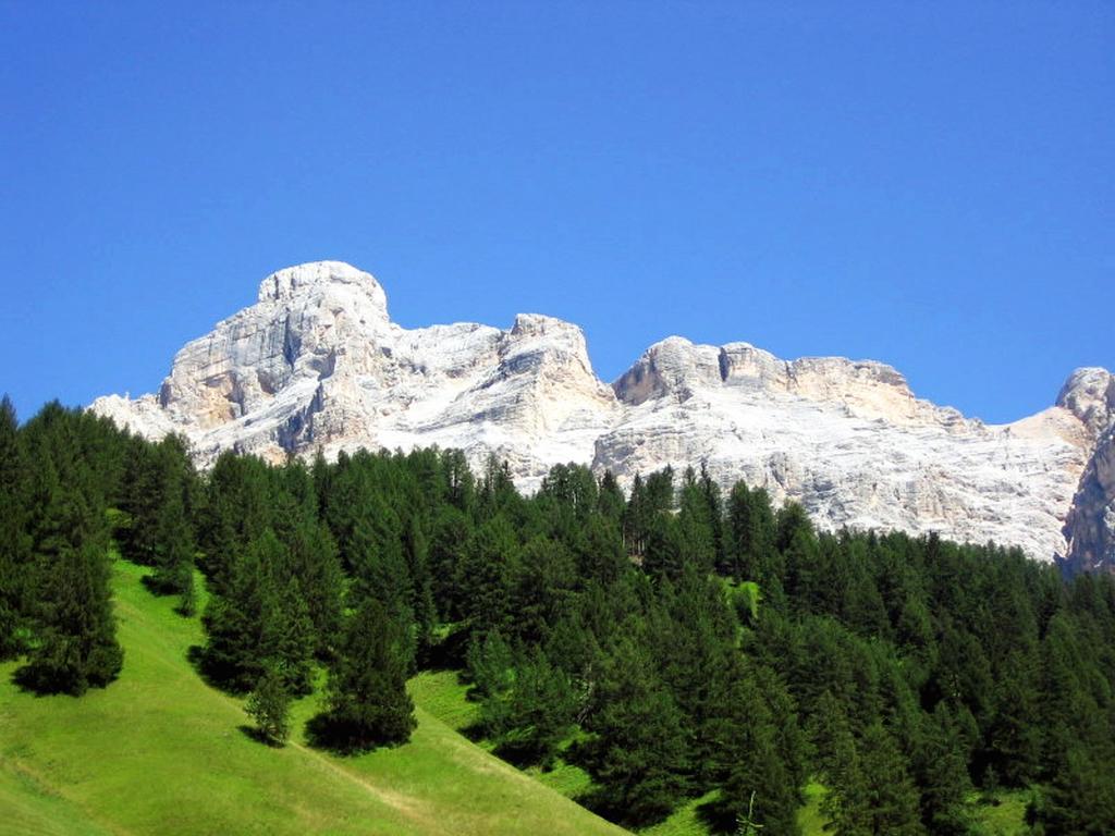 Ciasa Parom Apartment San Cassiano  Ruang foto